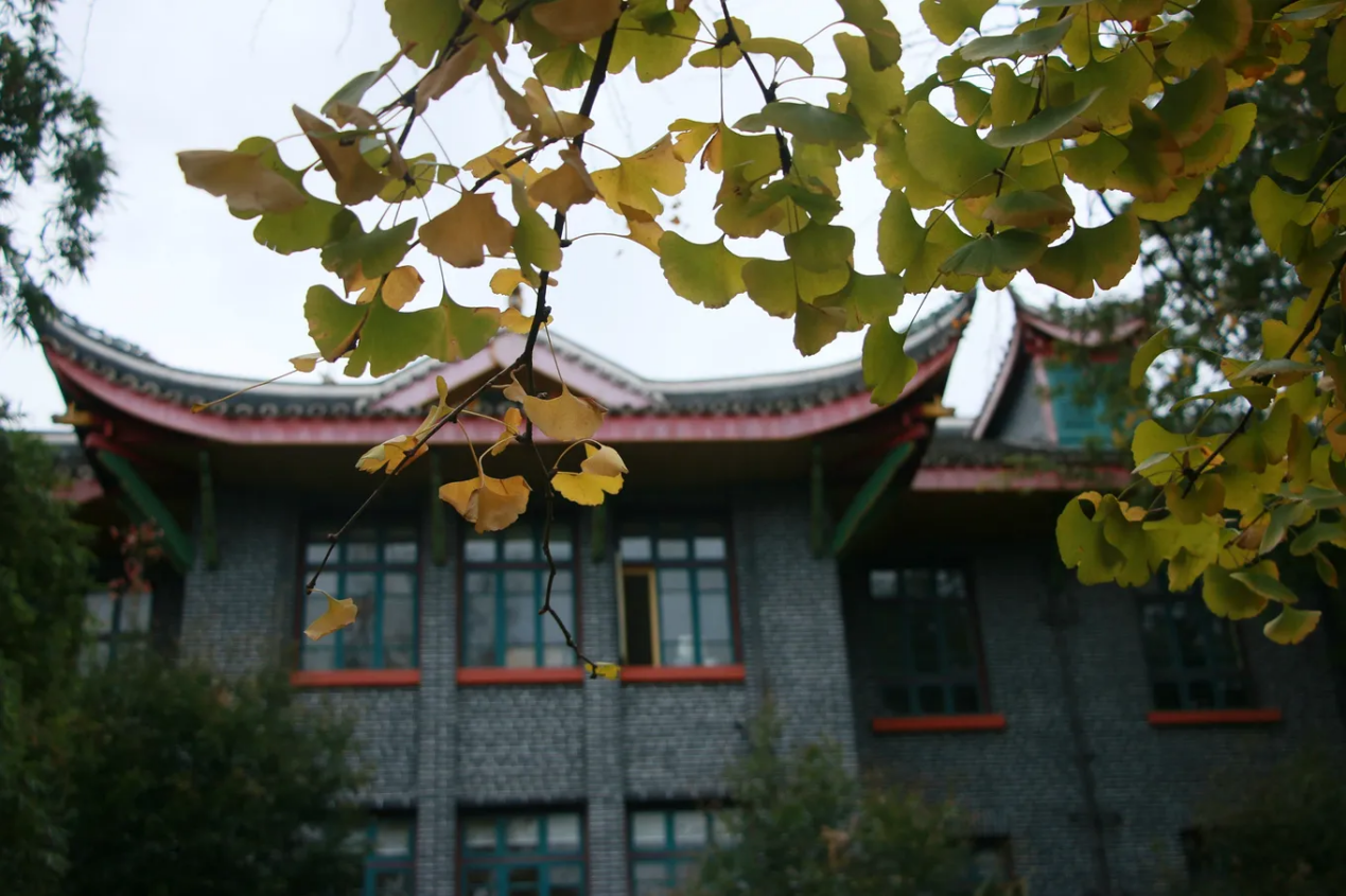 图片1.png 图片1.png